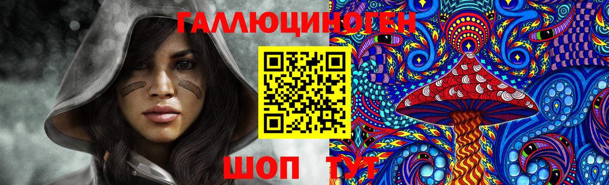 МЕФ Йошкар-Ола