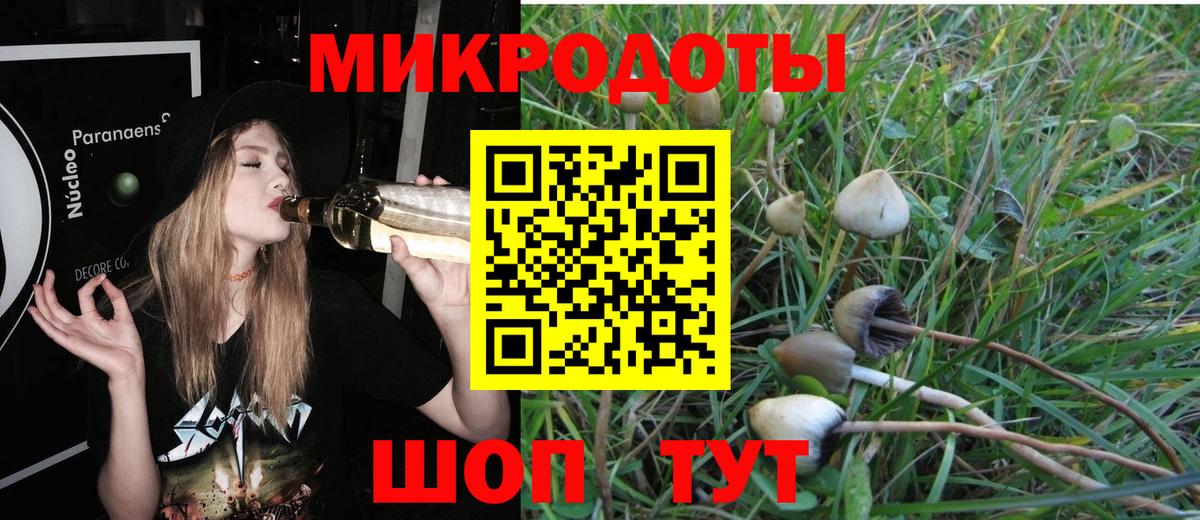 Псилоцибиновые грибы Psilocybine cubensis  Вход с VPN  Йошкар-Ола 